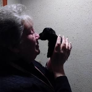 Meet your Posher, Debbie